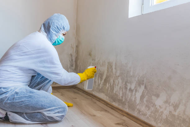 Mold Remediation specialist working in State College